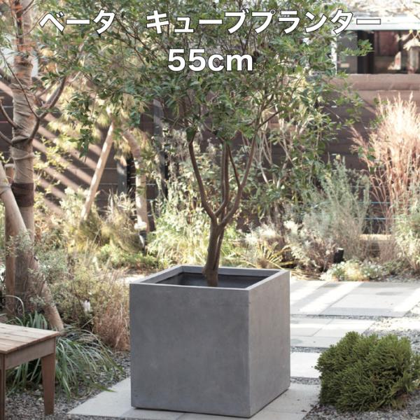 植木鉢 ベータ キューブプランター Lサイズ グレー 四角 おしゃれなファイバークレイ 大型 中型 正方形 スクエア 屋外用 屋内用 鉢カバー