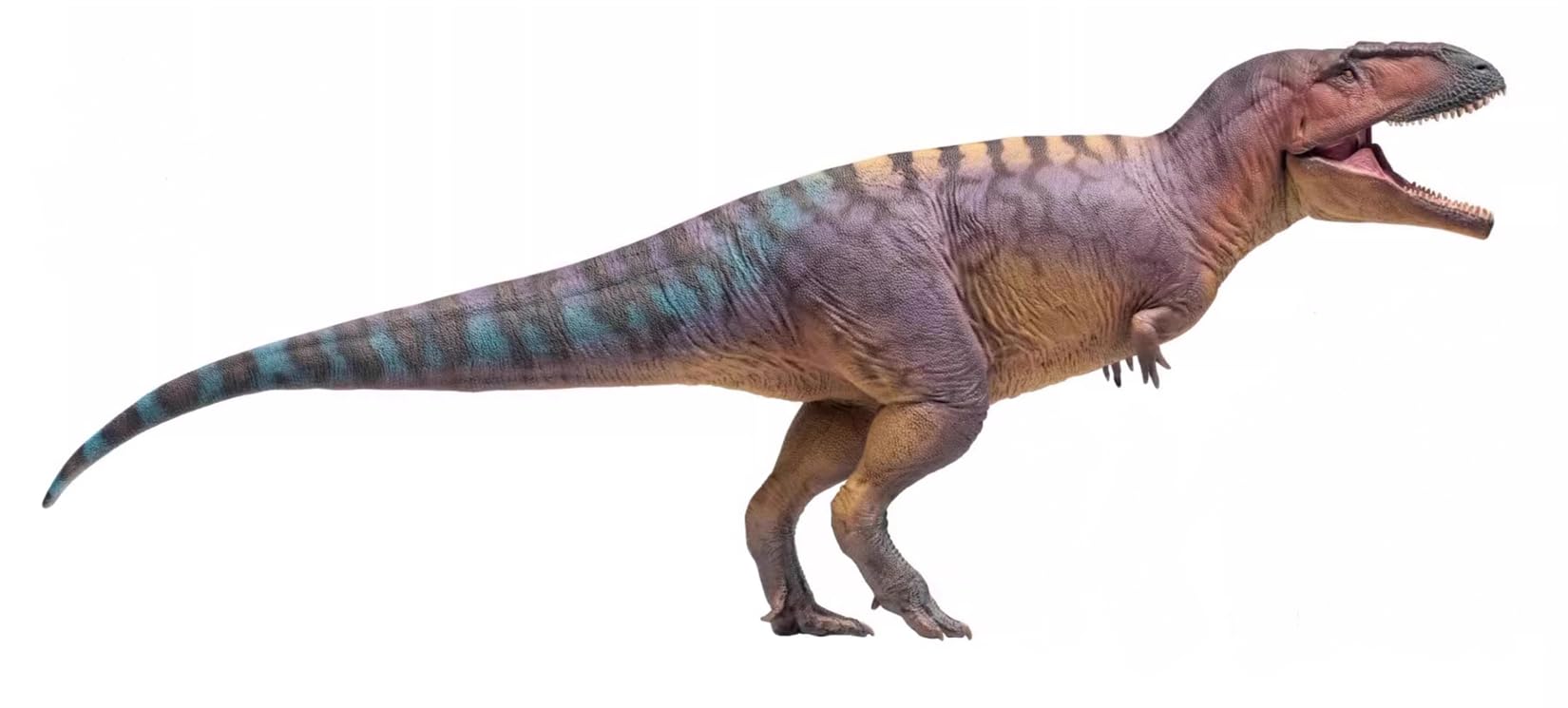 PNSO 成長シリーズ 83 ティラノティタン フィギュア 獣脚類 恐竜 カルカロドントサウルス科 白亜紀 32.6cm級 可動フィギュア 口開閉可能 PVC おもちゃ 模型 スタチュー