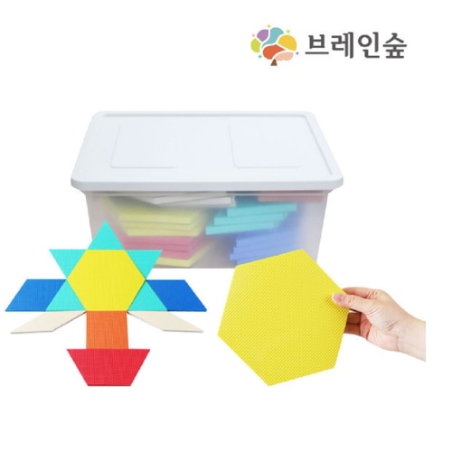 ブレインフォレストジャンボマグネットパターンブロック49幼稚園児童家学院教習教区