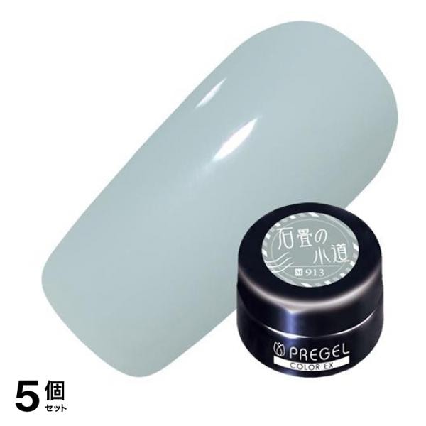PREGEL(プリジェル) カラーEX PG-CE913 石畳の小道 3g 5個セット