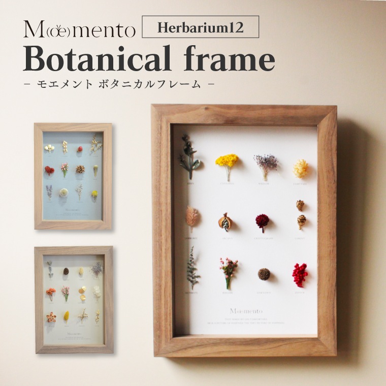 お花付 すぐ飾れる フラワーフレーム Moemento ボタニカルフレーム Herbarium12 ドライフラワー 額縁 フレーム A4 壁掛け おしゃれ かわいい インテリア 木製 ウォールナット