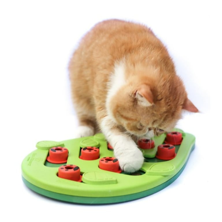 ニナオトソン バーガンアウト 猫 知能開発 パズル エサパズル スロー給食機