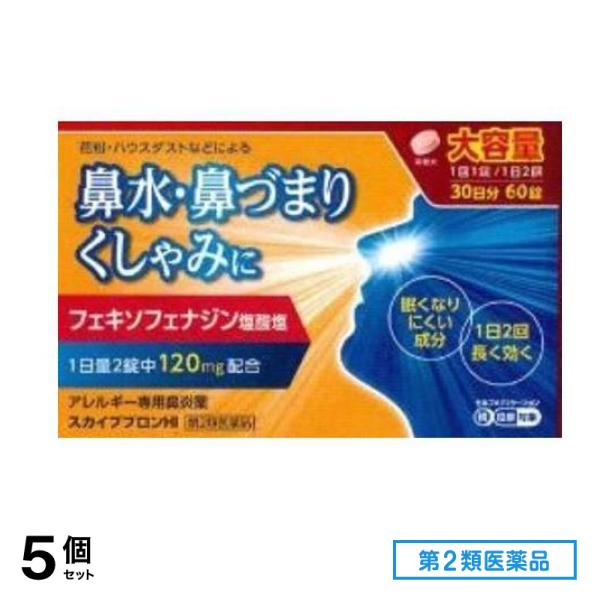 第２類医薬品 スカイブブロンHI 60錠 5個セット