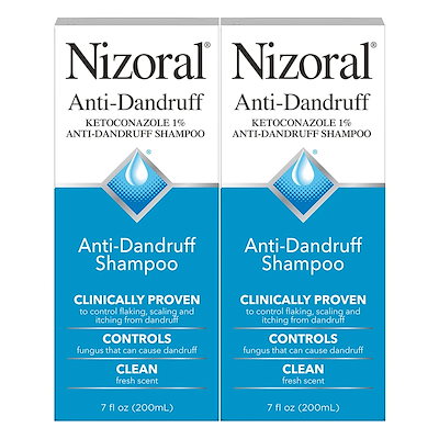 田村彩天 紫藤の鹿と祠宮図 石川県 寺崎広業師事 帝展 聖徳太子