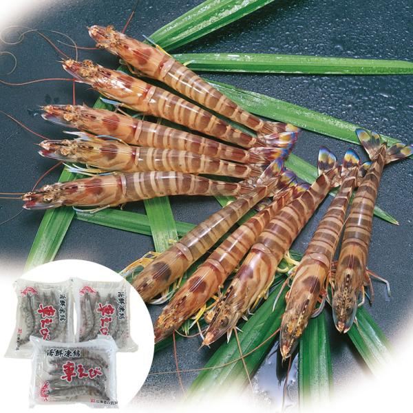 熊本 沖縄　活鮮凍結　活き〆冷凍車海老 A SISK