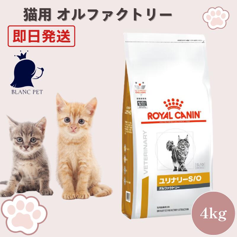 ロイヤルカナン 猫 ユリナリー S/O オルファクトリー 療法食 4kg