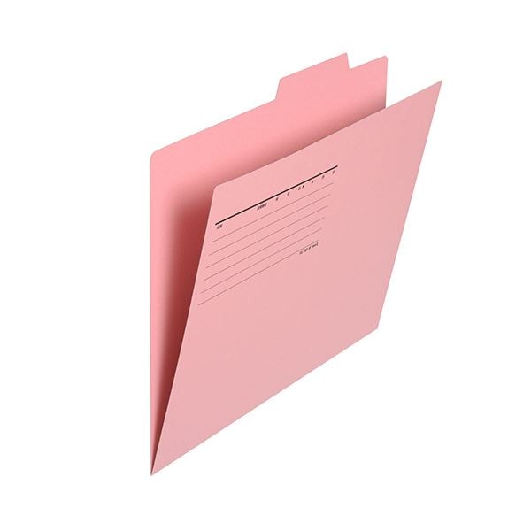 （まとめ）プラス 個別フォルダー エコノミータイプA4 ピンク FL-081IF 1パック(10冊)(×10セット) 11,741円