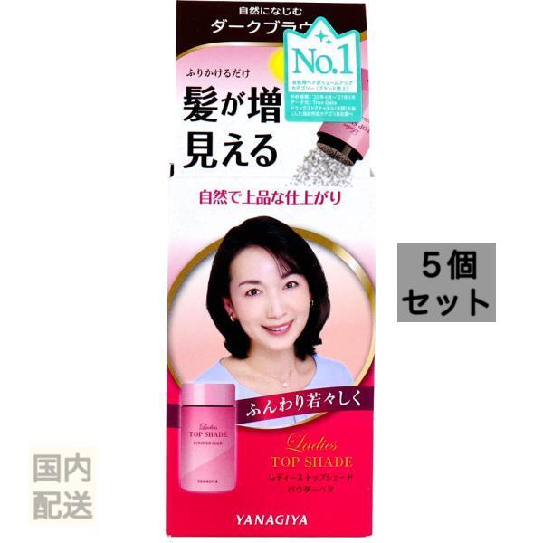 レディーストップシェード パウダーヘア ダークブラウン 20g x10個セット