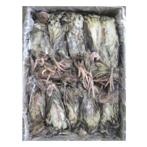 国産の冷凍親ウズラ 処理なし 60羽【クール便発送】大型魚 猛禽類 爬虫類 肉食 鶏肉 ヘビ ウズラ うずら 鶉 エサ 餌 フード