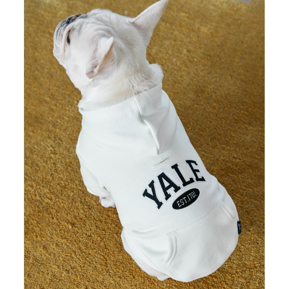 エール 2トーンアーチドギーパーカーアイボリー