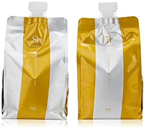 プロマスターカラーケア スタイリッシュライン シャンプー＆トリートメントセット 1000ml 詰め替