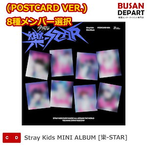 straykids 樂-STAR