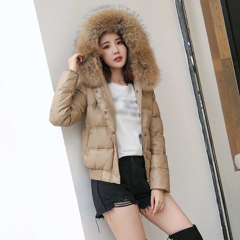 レディース ダウンジャケットおしゃれダウンコート ボリュームショート 着せ 軽量 無地大人の冬服 冬用 ジャケット 秋冬 コート 防寒 冬服 通勤 中綿 秋冬 秋冬 おしゃれ 通勤 軽い OceanM