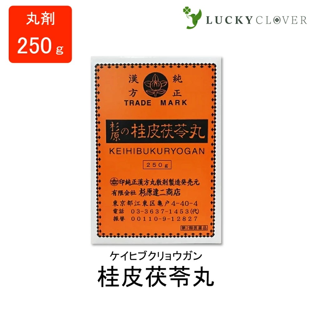 【第2類医薬品】桂皮茯苓丸 けいひぶくりょうがん 丸剤 250g 杉原達二商店 月経不順 月経異常 月経痛 更年期 障害 血の道症 肩こり めまい