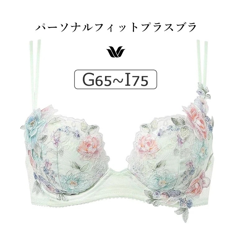 ワコール プレミアム 22G BXD422シリーズ パーソナルフィットプラスブラ ブラジャー単品 GHIカップ アンダー65/70/75/80/85cm BXD422