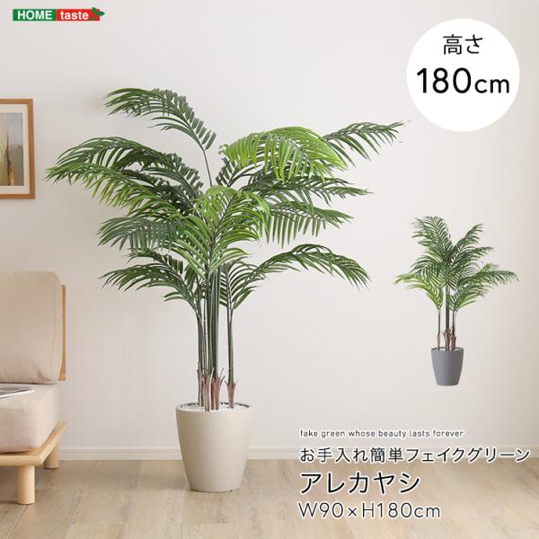 お手入れ簡単フェイクグリーン　アレカヤシ　Lサイズ(140cm)