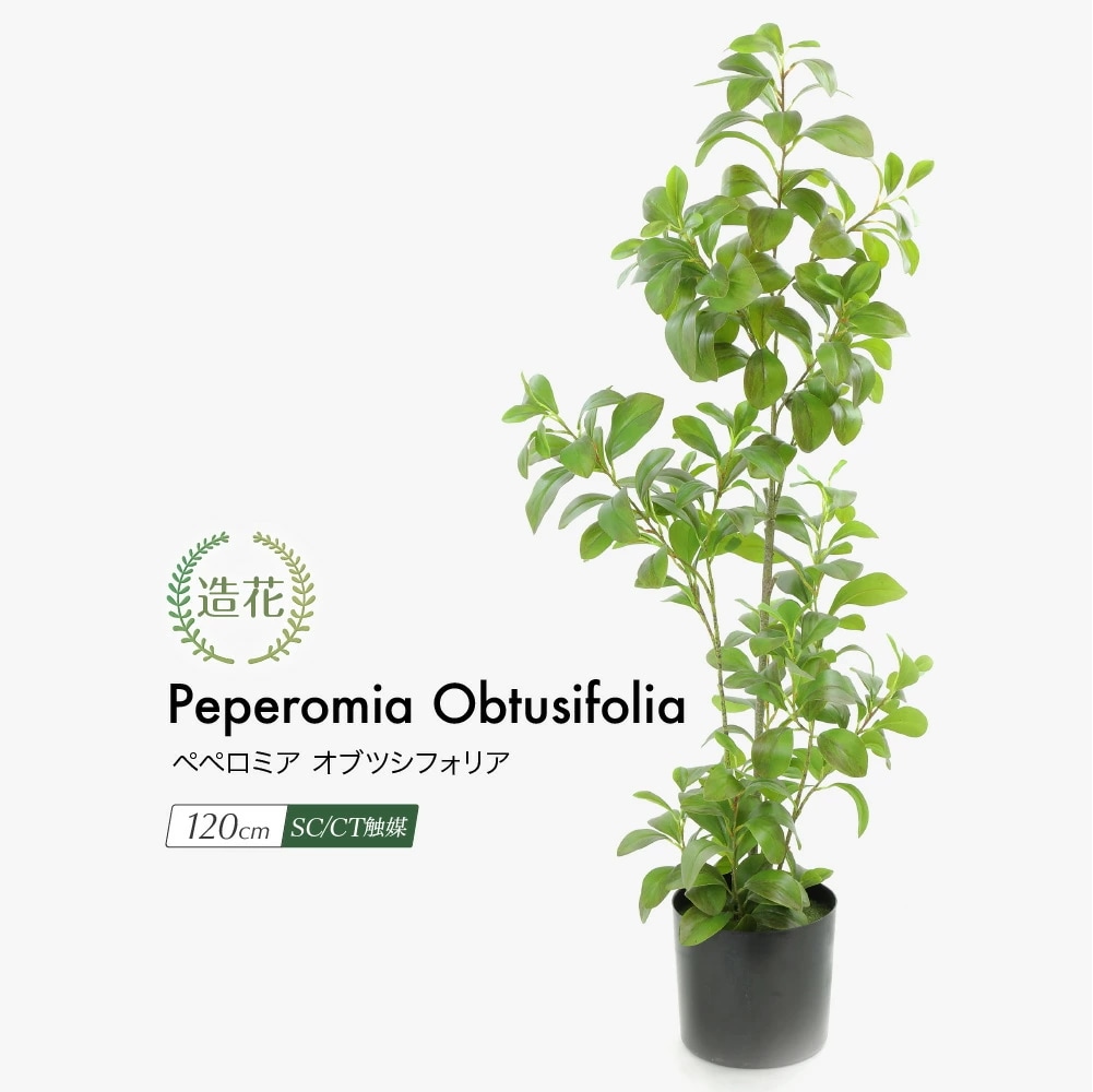 フェイクグリーン 開運ペペロミアオブツシフォリア 120cm 簡易プラ鉢 SC/CT触媒