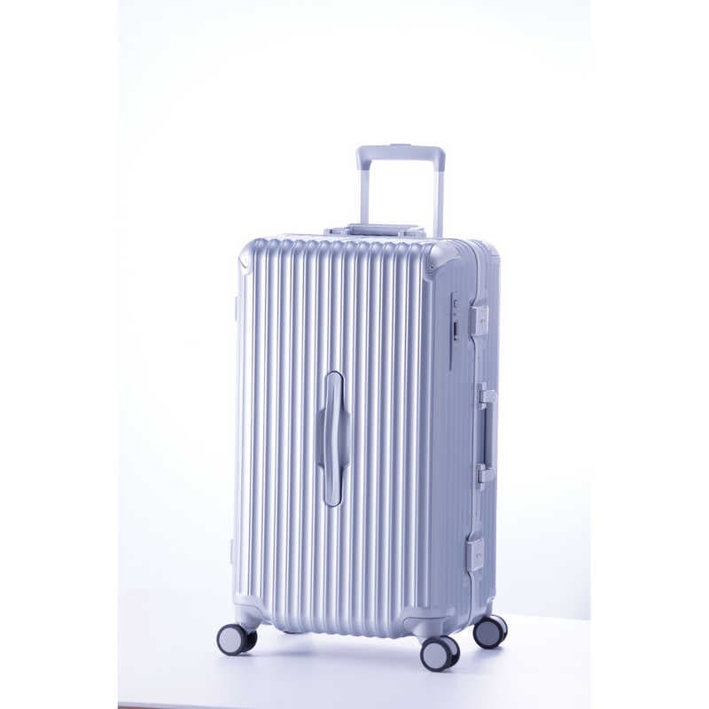 A.L.I　ハードキャリー GRANMAX フレームタイプ マットシルバー [TSAロック搭載 /70L]　GM-055-25その他 バッグ