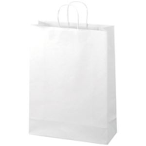 ジョインテックス 手提袋 丸紐 白 特大 300枚 B290J-W6