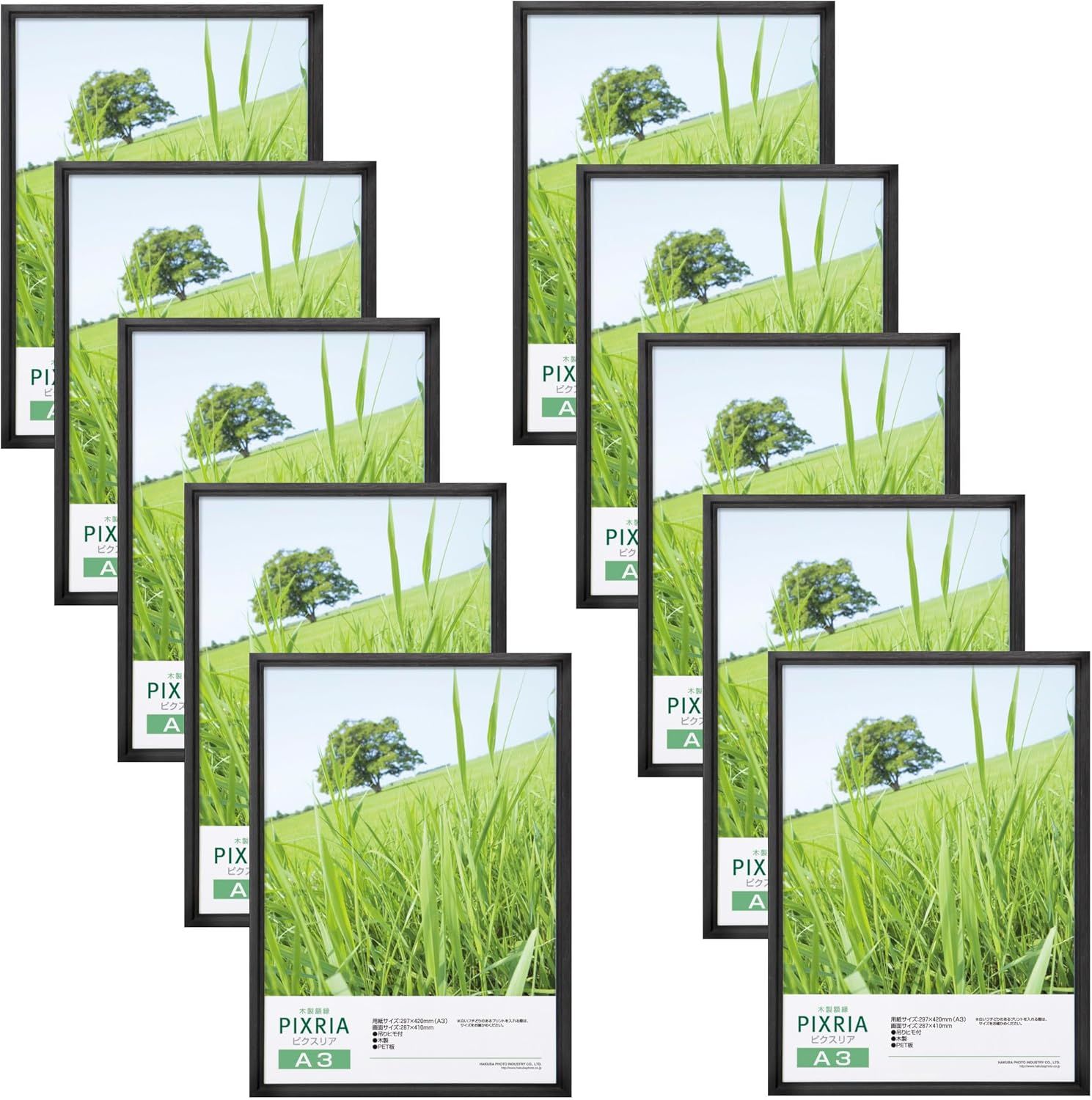 木製額縁 ピクスリア A3サイズ 10枚セット[まとめ買いセット] ブラック ポスターフレーム フォトフレーム 前面PET板 吊り紐付きAMZFWPX-BK10A3