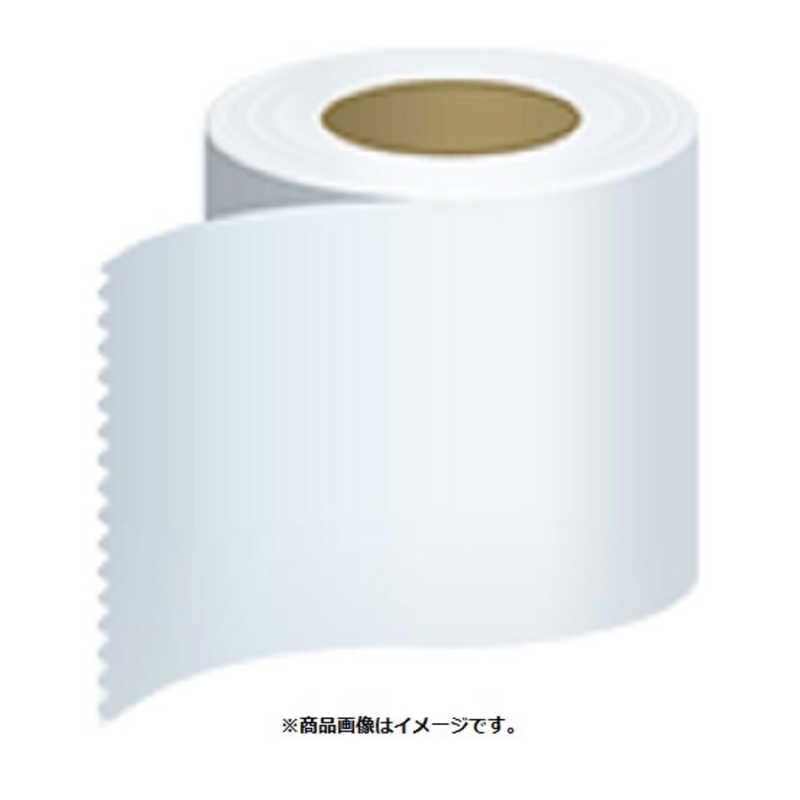 エプソン　EPSON　ラベルプリンター用紙 普通紙連続ラベル　C34SB003