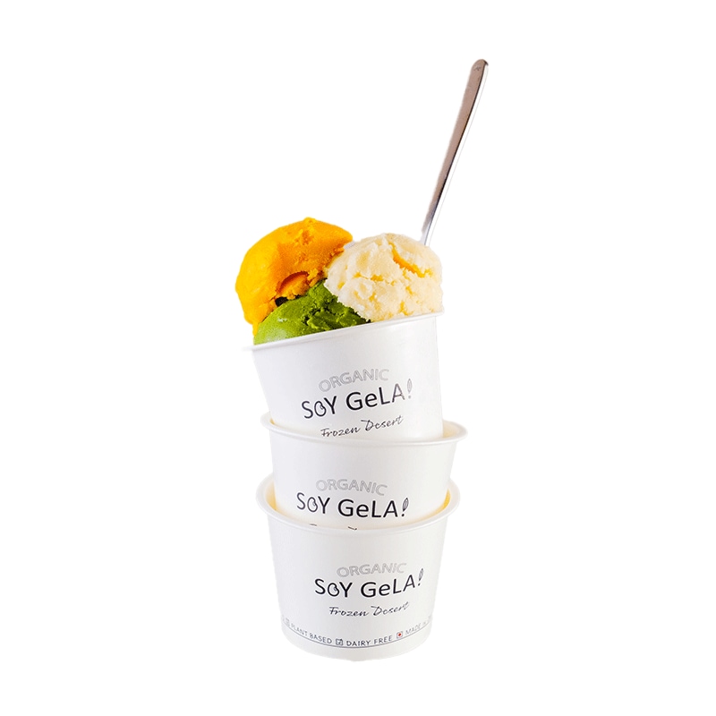 アイス アイスクリーム オーガニック 豆乳 カロリー制限 ヘルシー ダイエット オーガニックアイス 豆乳アイス スイーツ 100ml 12個セット 詰め合わせ ギフト プレゼント