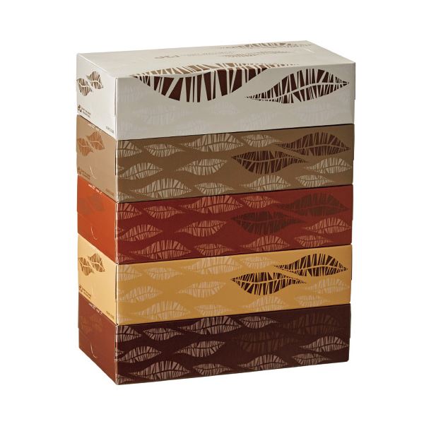 TANOSEE ティッシュペーパーFeathers 200組/箱 1セット（60箱：5箱12パック）