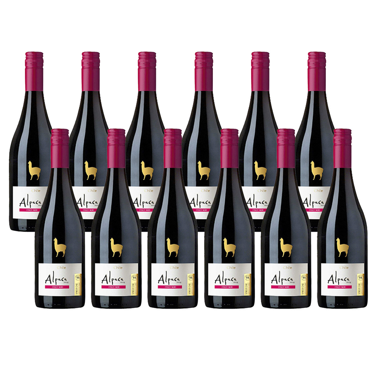 【送料無料】サンタヘレナ アルパカ ピノノワール 750ml 12本 【北海道沖縄県東北四国九州地方は必ず送料が掛かります】