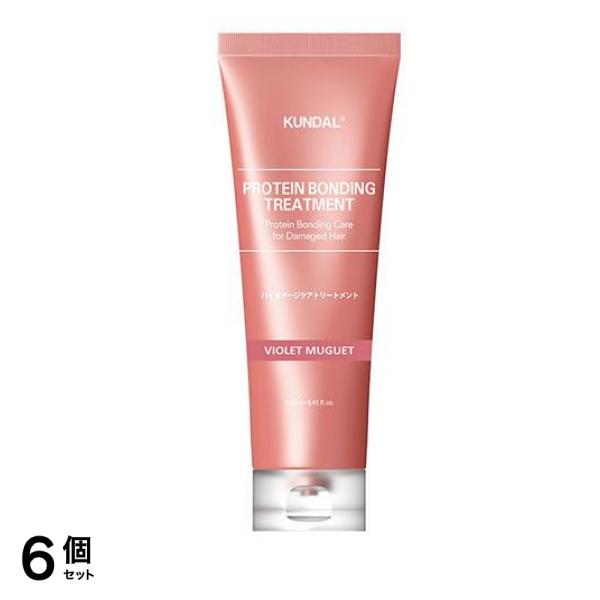 KUNDAL(クンダル) ダメージケア トリートメント バイオレットミュゲ 250mL 6個セット