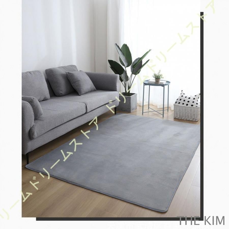 じゅうたん カーペット 遮音 センターラグ 防カビ 大判 厚手 オシャレ 極厚約14mm 冷え対策 掃除易い 洗濯機で洗えます 秋 ペット 防虫 ホットカーペット