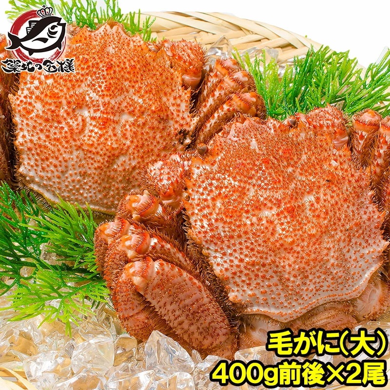毛ガニ 毛蟹 浜茹で毛がに姿 平均400g前後×2尾 ボイル 冷凍 北海道産 最高級 堅蟹 身もカニ味噌もぎっしり！築地の正規品堅ガニ かに カニ 蟹 カニ鍋 かに味噌 築地市場 豊洲市場 おせち 9,472円