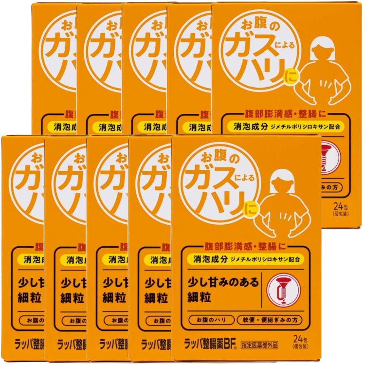 10個セット 大幸薬品 ラッパ整腸薬BF 24包 整腸 便秘