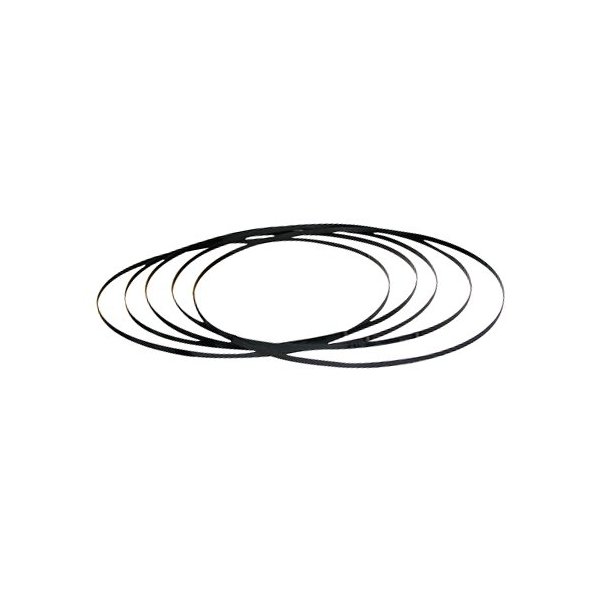 0031-8781