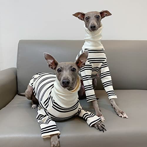 D DOGGY STAR イタグレ服 ストライプ Tシャツ べドリントンテリア服 ウィペット服 ドッグ ウェア (L, ホワイト)