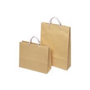 （まとめ）東京ユニオン ペーパークラフト 704 大 10枚入 (×3セット)