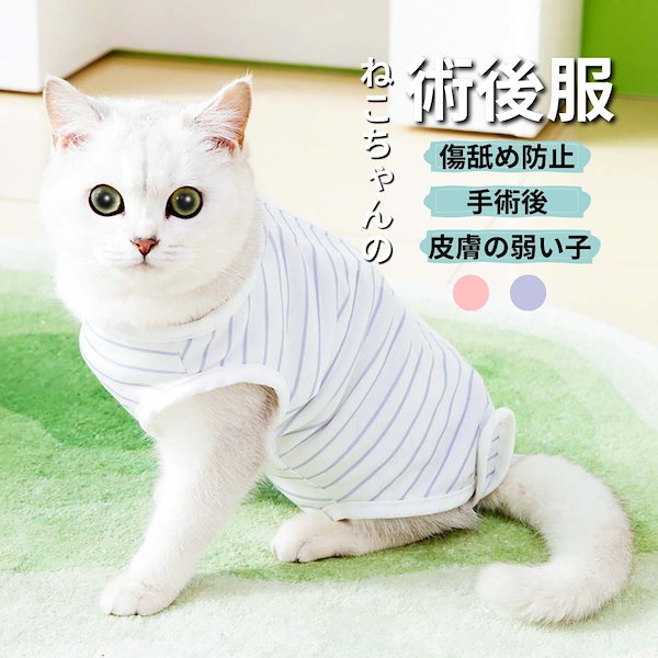 猫 安い 術後服 人気