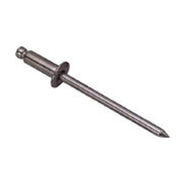 エビ(LOB) NS5-6 (テツ/テツ1000ボンイリ) ブラインドリベット(スチール/スチール製) 5-6(1000本入) 箱入 NS56 メーカー直送