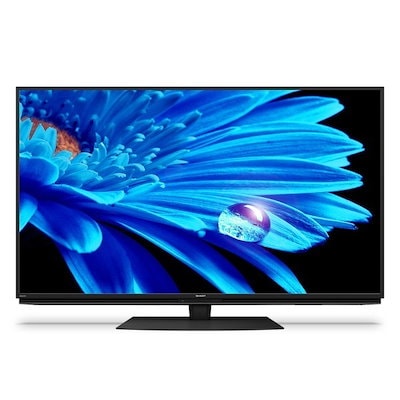 シャープ 55V型 4K テレビ 4TC55DP1 店頭展示品 シャープ 55V型 4K テレビ 4TC55DP1 店頭展示品 シャープ 55V型