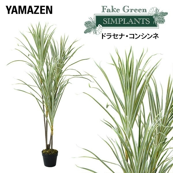 フェイクグリーン ドラセナコンシンネ 高さ125cm FG-DRCON125 7,690円