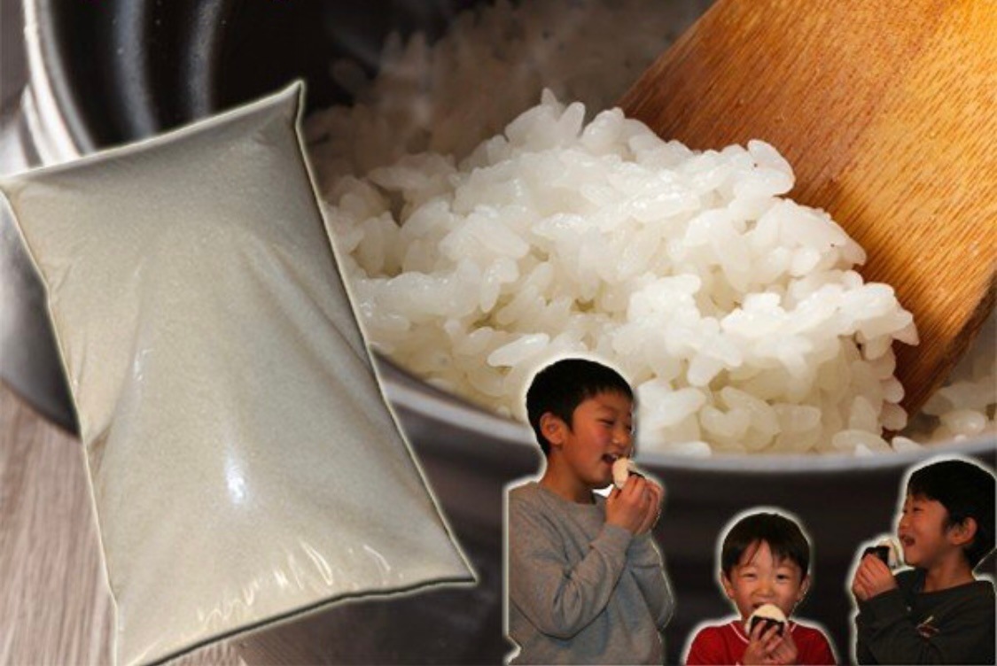（新潟県産 ブレンド米 白米 10kg 令和６年産） 新潟産 米 １０キロ お米１０キロ 高級米 おいしいお米 美味しいお米 産地直送 農家の米 コシヒカリの郷小出農場