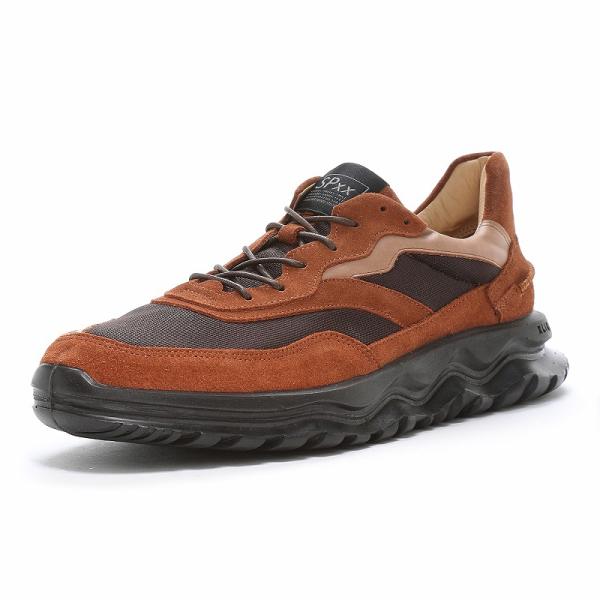 ムーンスター スニーカー 日本製 本革 革靴 メンズ レディース レザー シューズ 履きやすい 靴 SPxx moonstar SX 78C01 ブラウン [2024年秋冬新作] 8月30日発売 14,850円