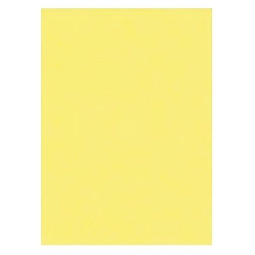 （まとめ買い）リンテック 色画用紙 ニューカラー 4切判 392x542mm 100枚 きいろ GO4NCR-108 [x3] 8,330円