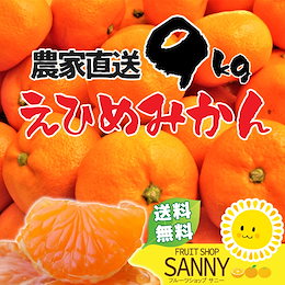 フルーツショップサニー 最高品質の限定商品 みかん@取引用様 声優/アニメ