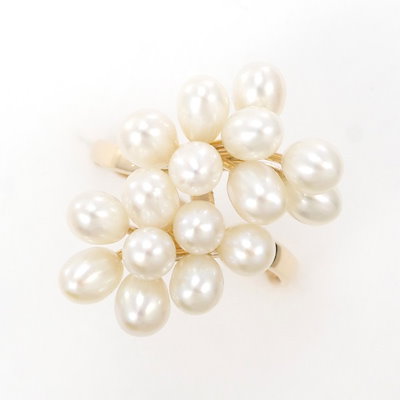 24aw NAMESAKE WINDKREAKER（セットアップ） 【公式通販】