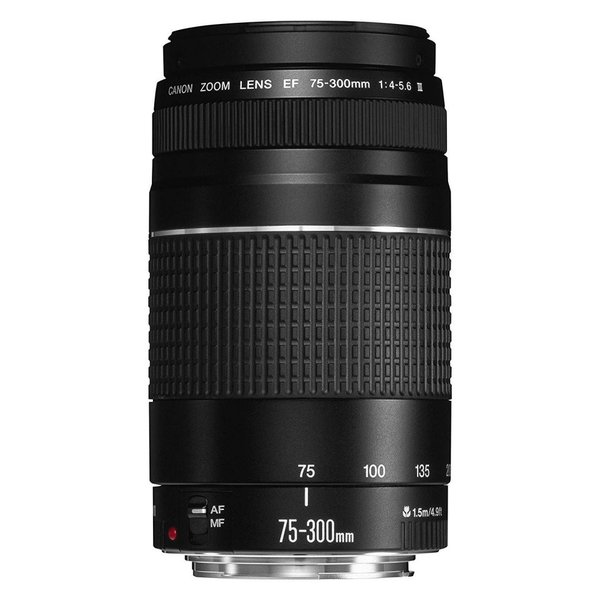 【中古】キヤノン Canon EFレンズ EF75-300mm F4-5.6 IIIズームレンズ 望遠 17,850円