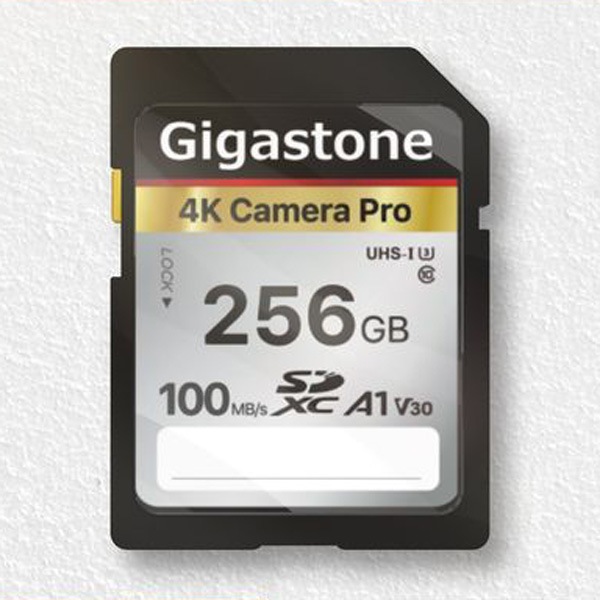 Gigastoneギガストーン SDXCメモリーカード 256GB Class10 UHS-I U3 V30（ジッパーバック包装） GJSXR4K256GV3A1