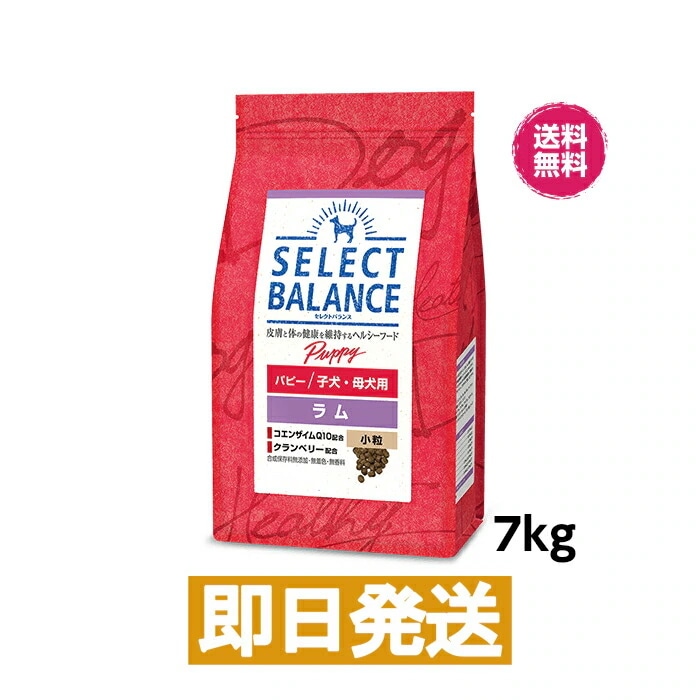 ZNgoX ps[   qEꌢp 7kg