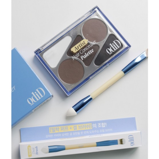 アーティストヘアコンシーラーパレット 12.9g ブラシ+ヘアピン 企画セット