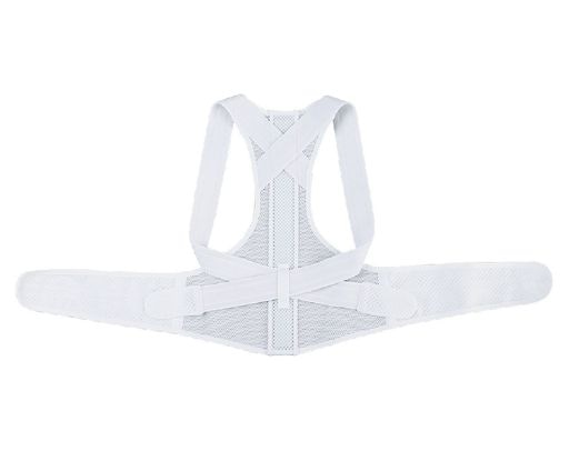 乗馬背筋ベルト (M)