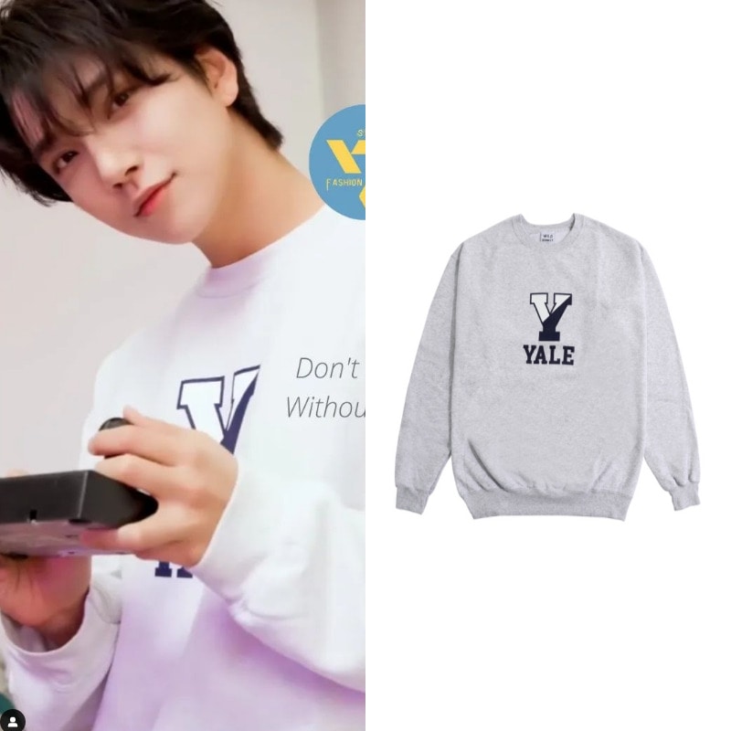 (ワイルドドンキー) seventeen着用 joshuaイェール起毛スウェットシャツヘザーグレー